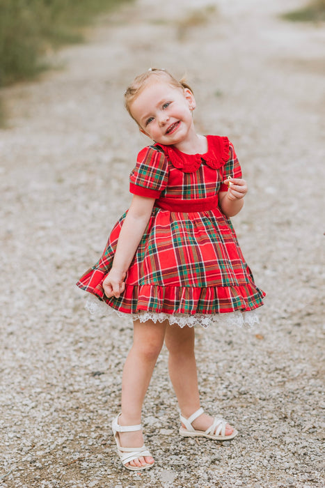 Seasons Greetings Vintage Plaid Dress