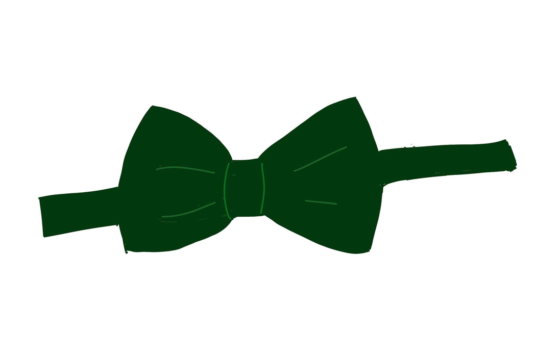 Green Satin Boys Bowtie